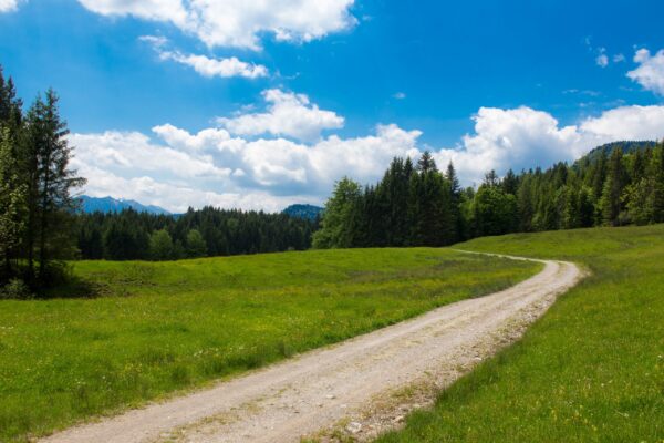 ELearning: Nachhaltig leben und arbeiten