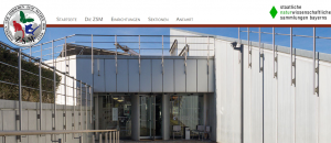 Website ZSM - Screenshot Startseite