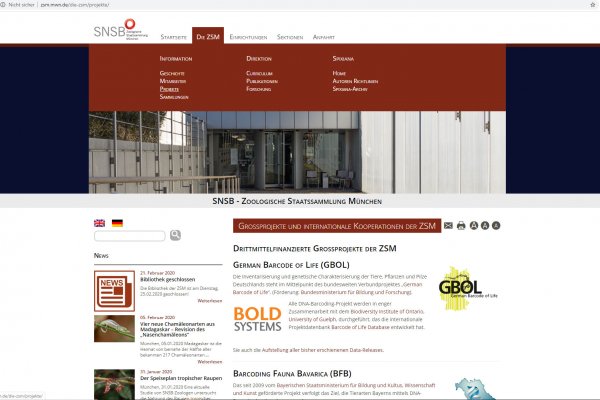 Website ZSM - Screenshot Menü u. Contentseite
